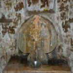 Vraj-Yatra-2014- (888)